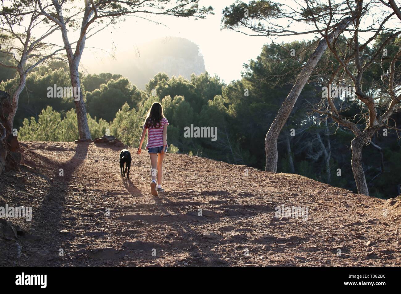 Back view of teenage girl with long hair and her dog hiking in the forest at sunset Stock Photo