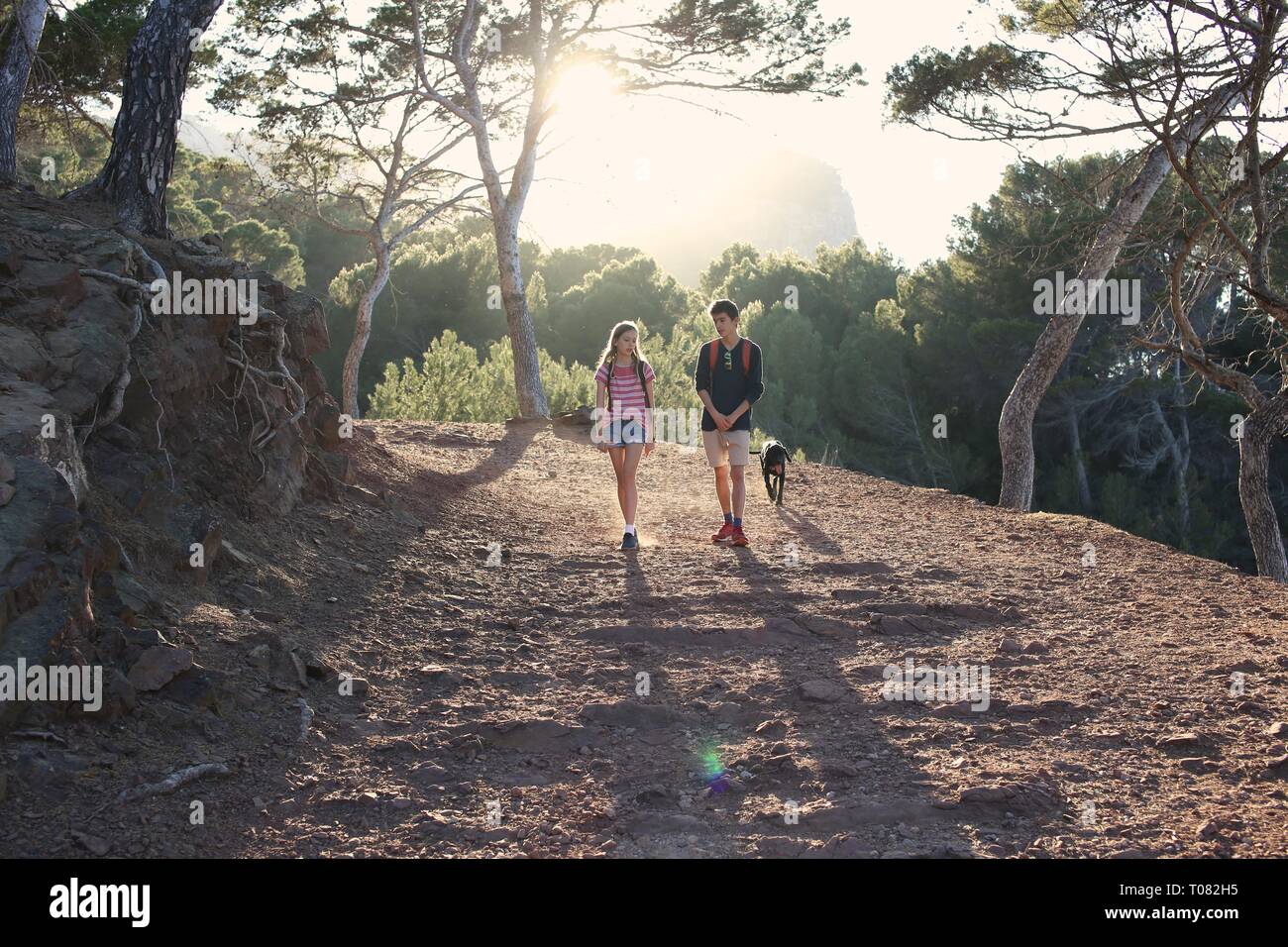 Teenage friends and dog hiking in wood at sunset Stock Photo
