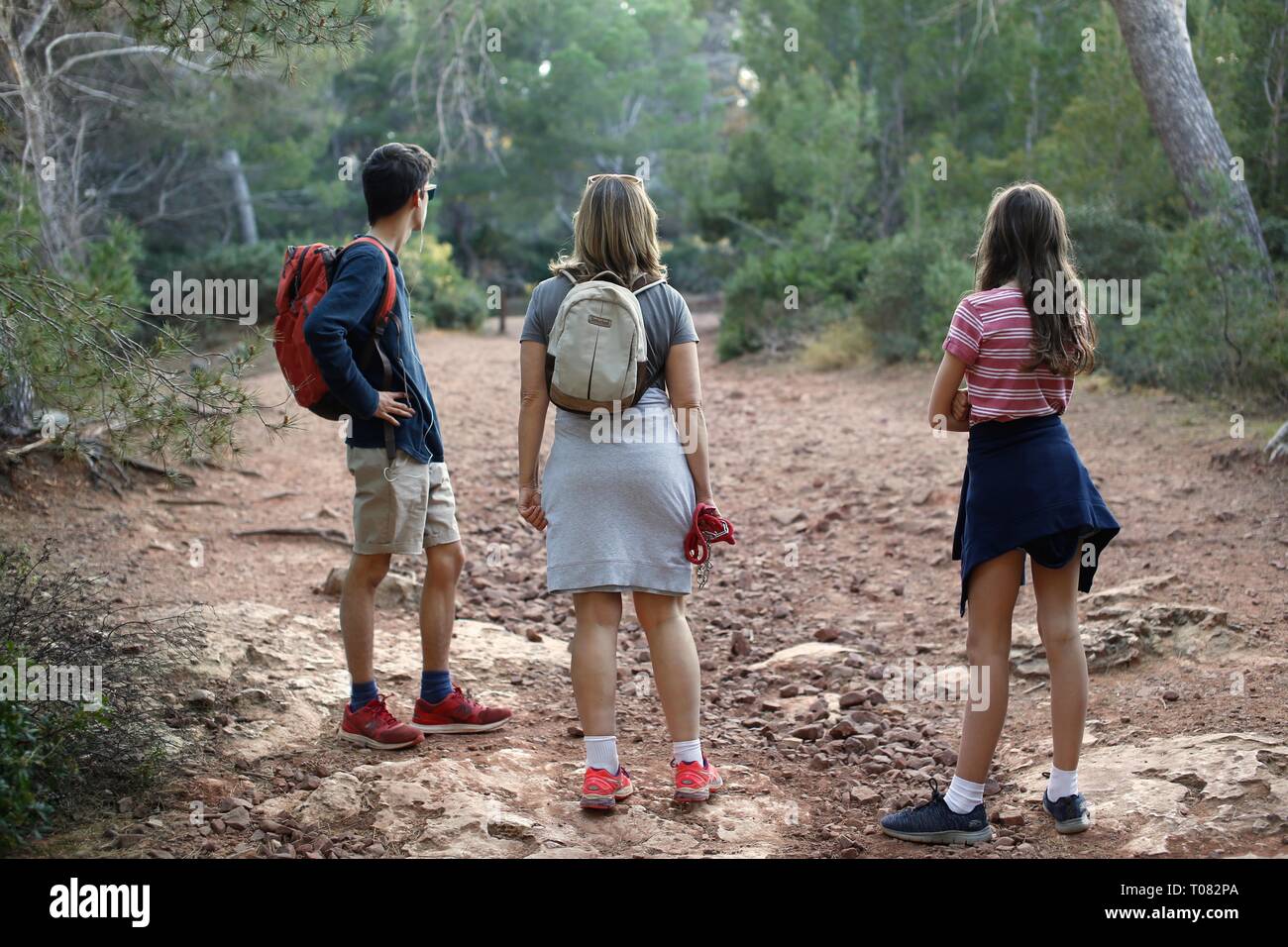Back view of Mum and teenage boy and girl on a hike looking at something in the forest. Stock Photo
