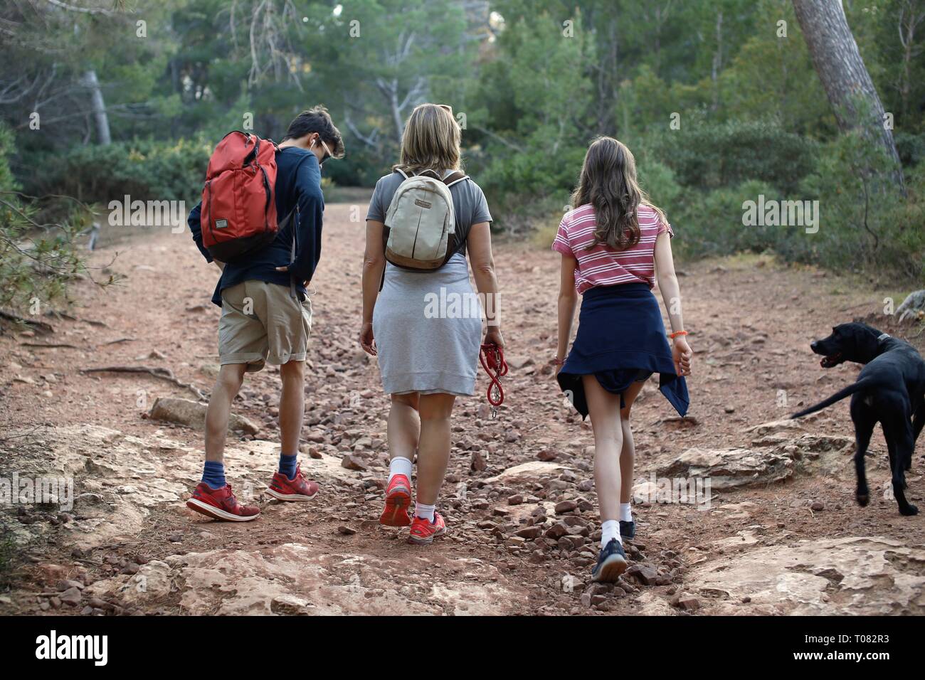 Back view of Mum and teenagers hiking in forest with dog Stock Photo