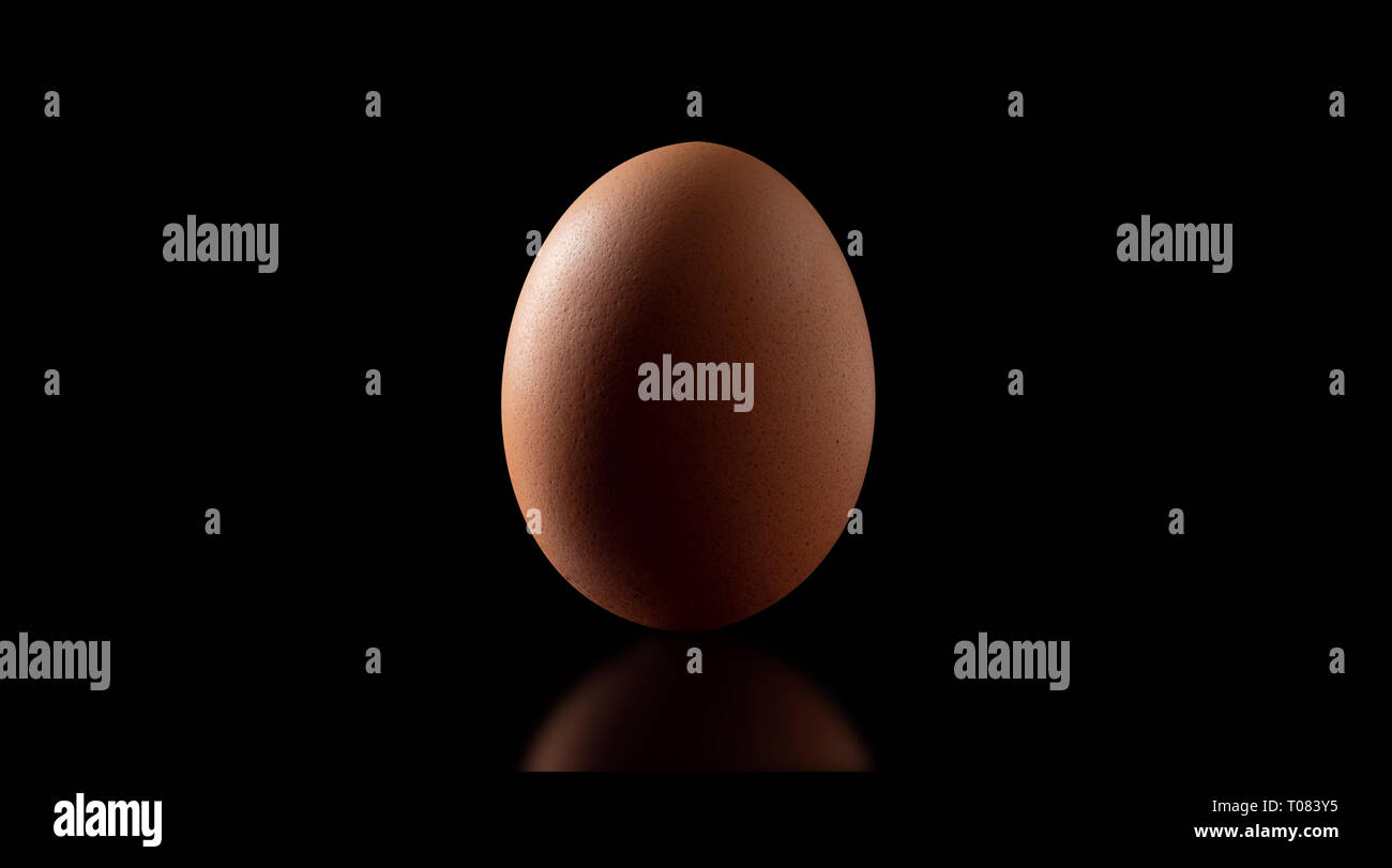 Single vertical chicken egg cut out with reflection Stock Photo