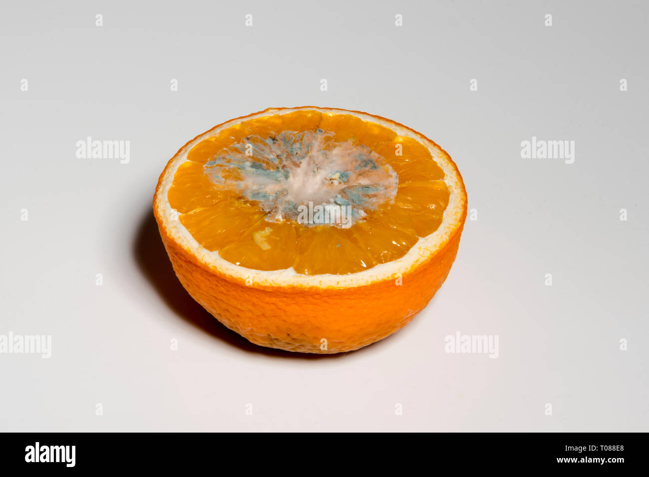 Verdorbene Lebensmittel, Orange Stock Photo
