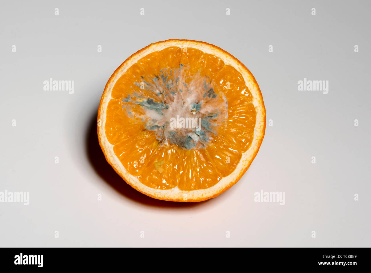 Verdorbene Lebensmittel, Orange Stock Photo