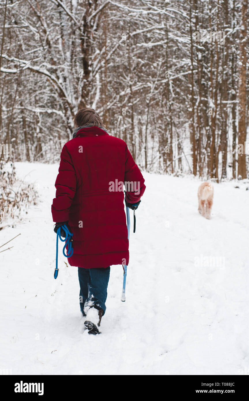 Senior woman walking her dog down a snowy path in winter Stock Photo