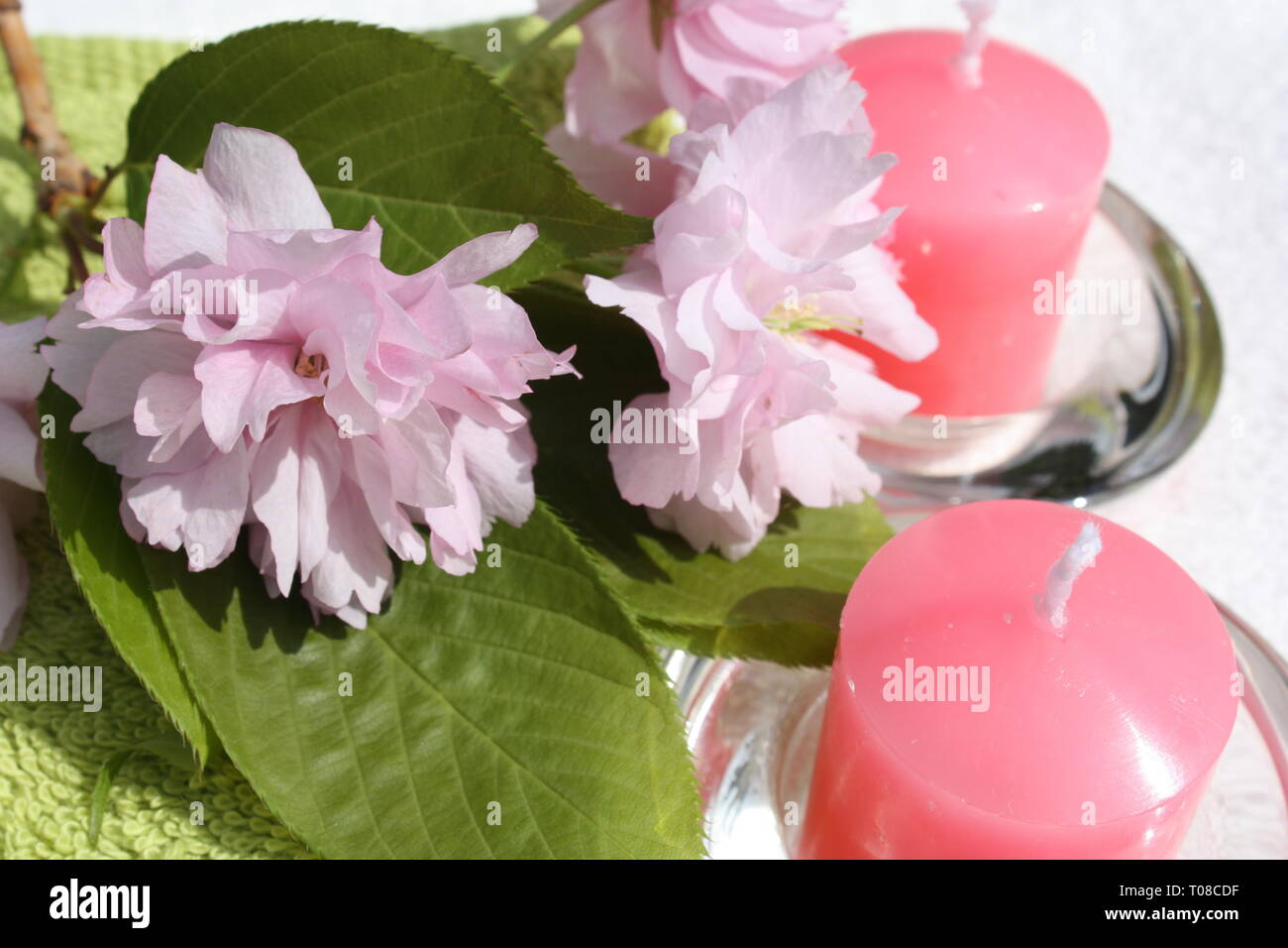 Cherry blossoms with candles Stock Photo