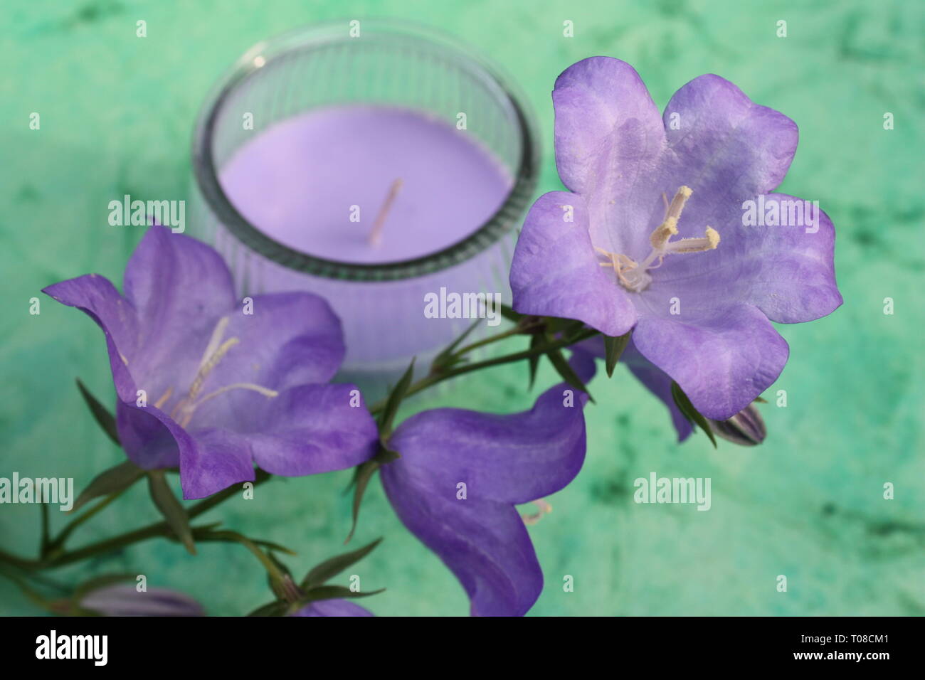 Flowers with candles Stock Photo