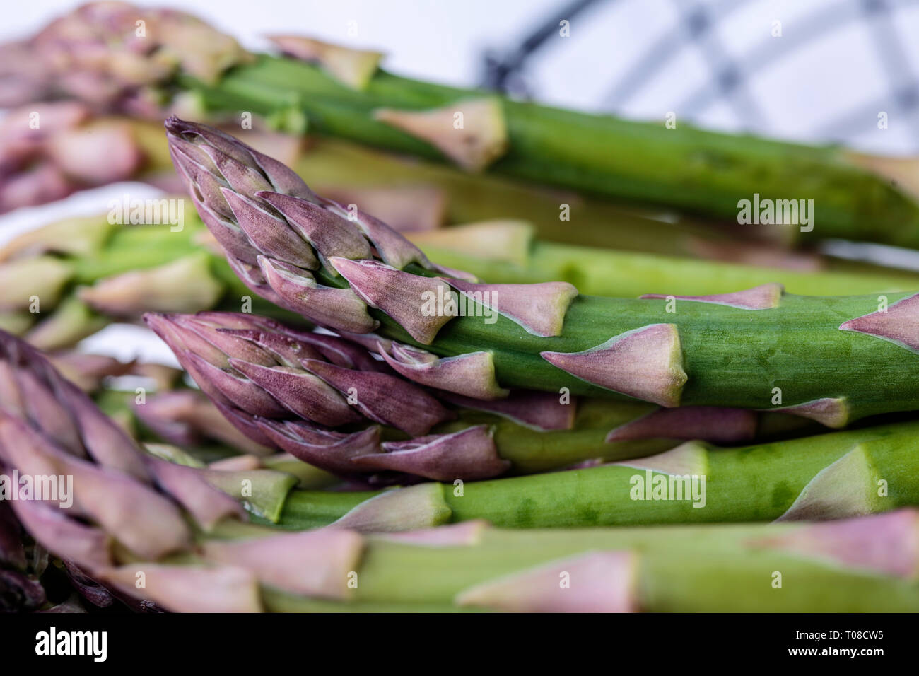 Studio Still Life with Fresh Green Asparagus Stock Photo