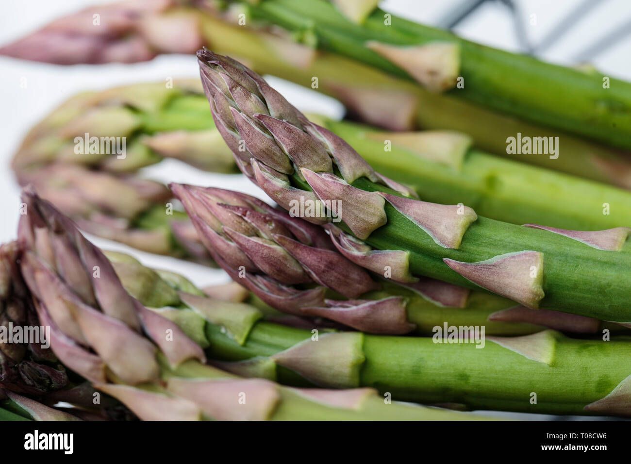 Studio Still Life with Fresh Green Asparagus Stock Photo