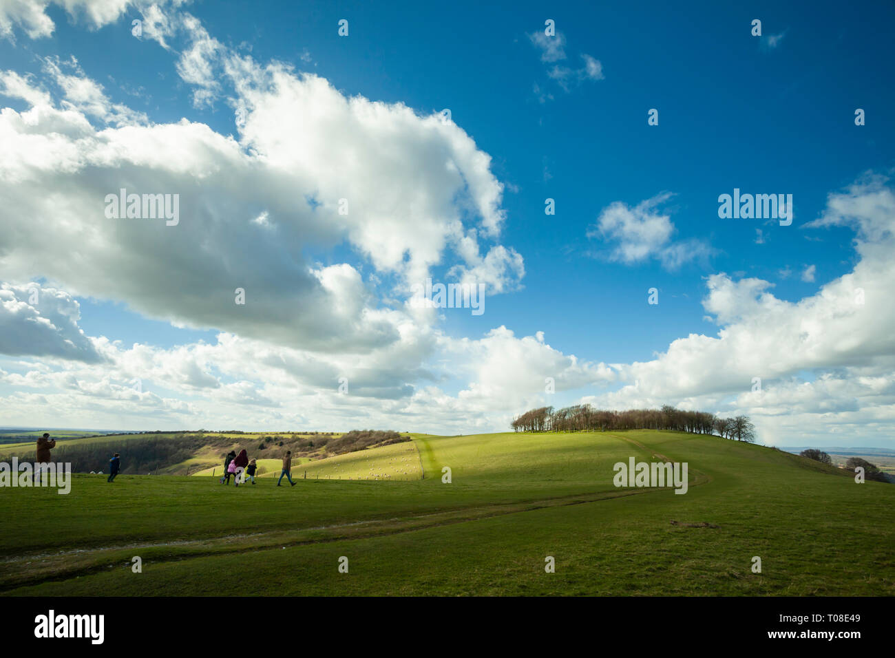 Early spring at Chanctonbury Ring in South Downs National Park, West Sussex, England. Stock Photo