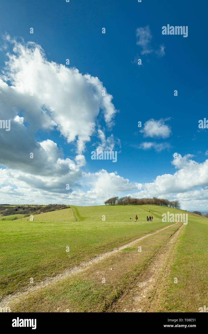 Early spring on South Downs Way, West Sussex, England. Stock Photo