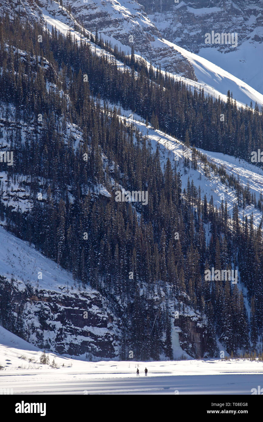 Chateau Lake Louise Hotel Alberta Canada Winter Stock Photo - Alamy