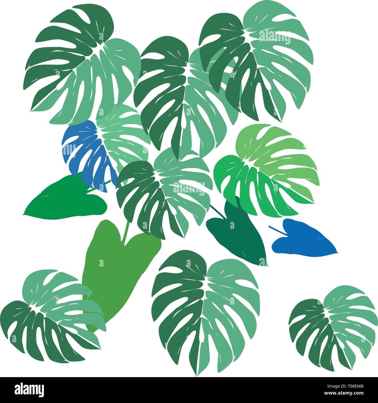 monstera leafs and filodendron vector hand draw Exotic Summer set with green leaves of tropical plant . Stock Vector