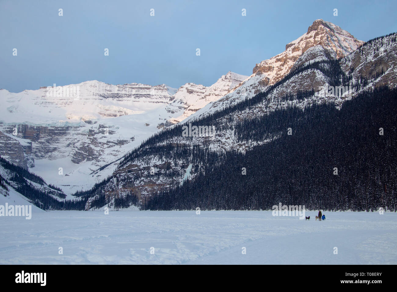 Ice Rink Lake Louise Chateau winter Alberta Canada Stock Photo - Alamy