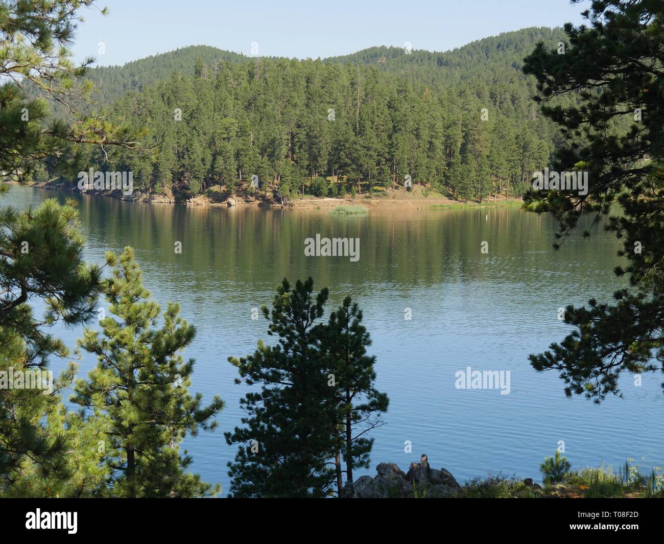 Pactola Lake, the largest reservoir in the Black Hills of South Dakota