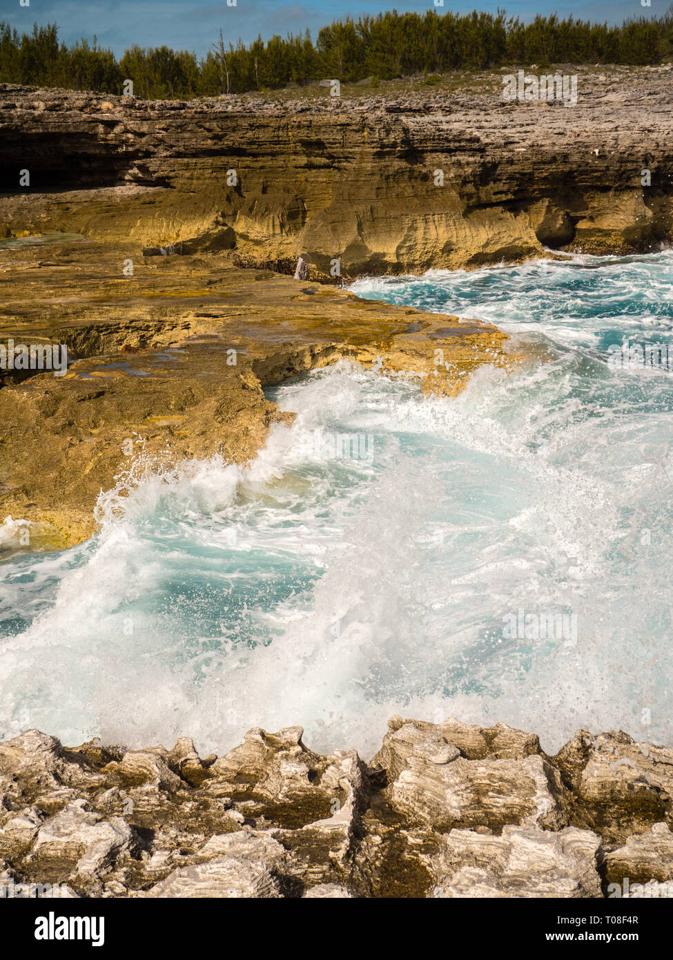 Waves Crashing on Limestone Cliffs,The Queens Baths, Tidal Pools