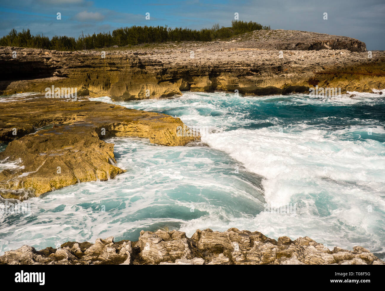 Waves Crashing on Limestone Cliffs,The Queens Baths, Tidal Pools