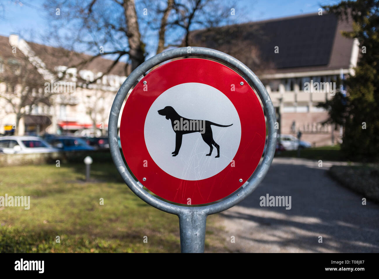 Prohibition sign: No dogs Stock Photo