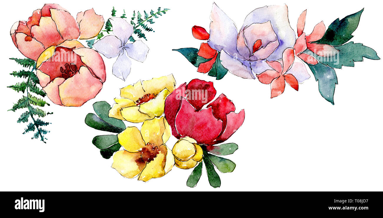 Bouquets floral botanical flowers. Watercolor background illustration ...
