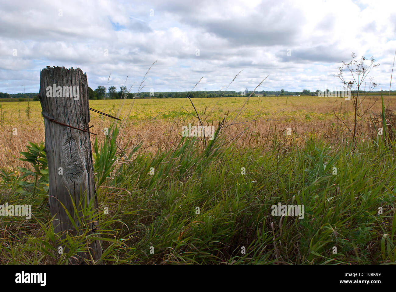 Weathered fence post stand in front of farmland Stock Photo