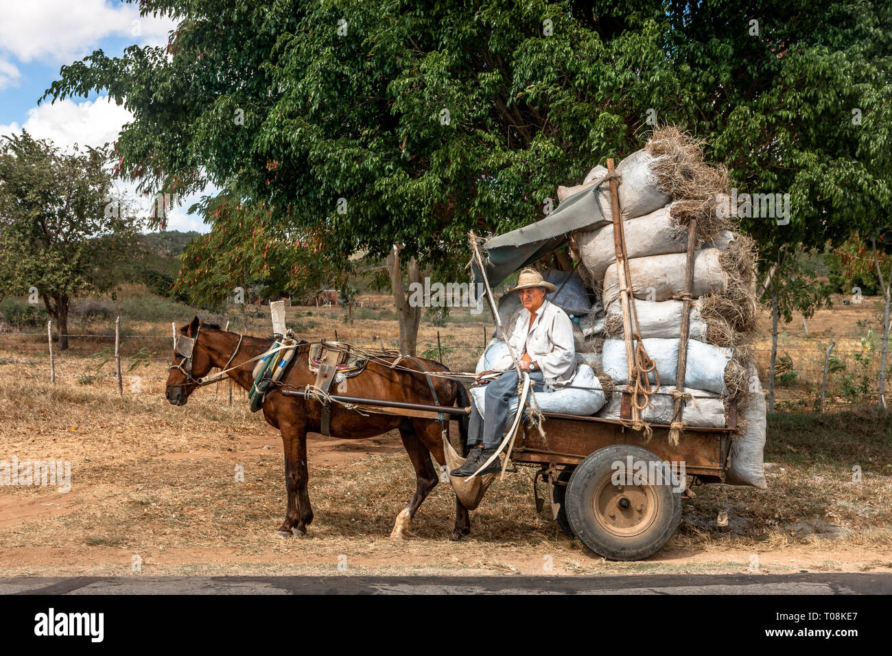 Trinidad, Sancti Spiritus, Cuba. 23th January, 2013. A farme draws bales of hay to his farm in Trinidad, Sancti Spiritus, Cuba. Stock Photo