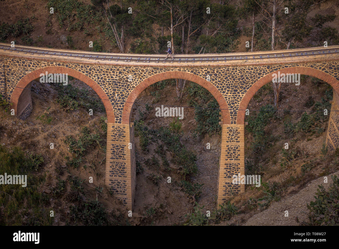 Train bridge, Asmara, Eritrea Stock Photo