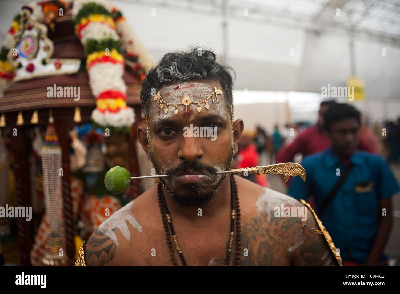 31.01.2018, Singapore, Singapore - The jaws of a believing Hindus are pierced with a metal skewer as he prepares for the procession at the Sri Sriniva Stock Photo