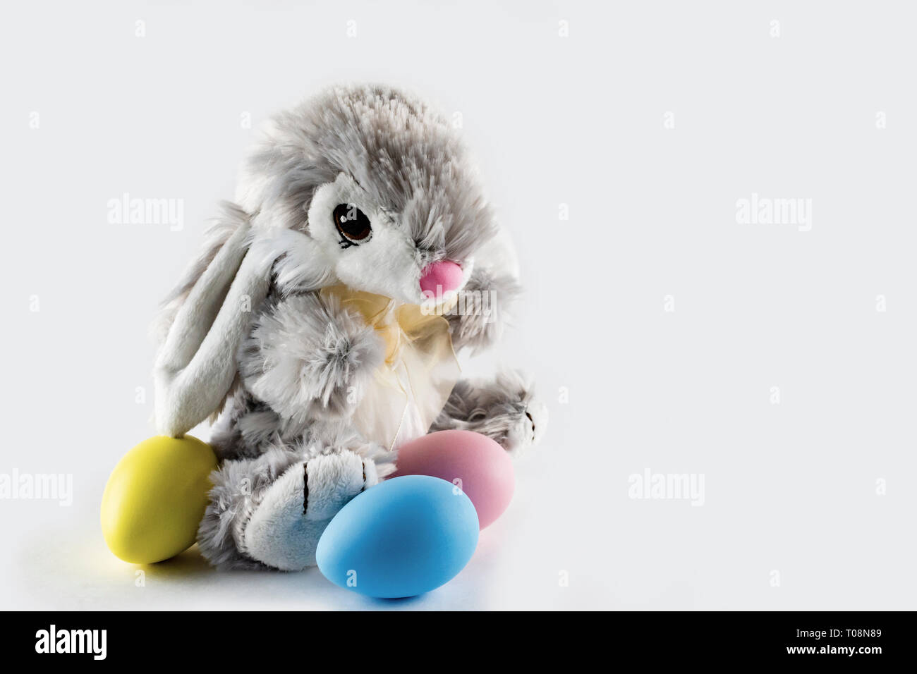 Soft stuffed toy Easter bunny with colorful dyed eggs on white background.  Copy space. Stock Photo