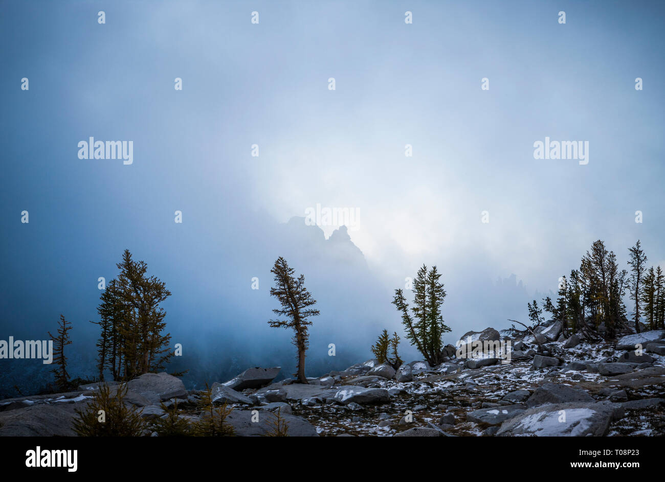 Larch trees and low clouds in the Enchantment Lakes Wilderness Area ...