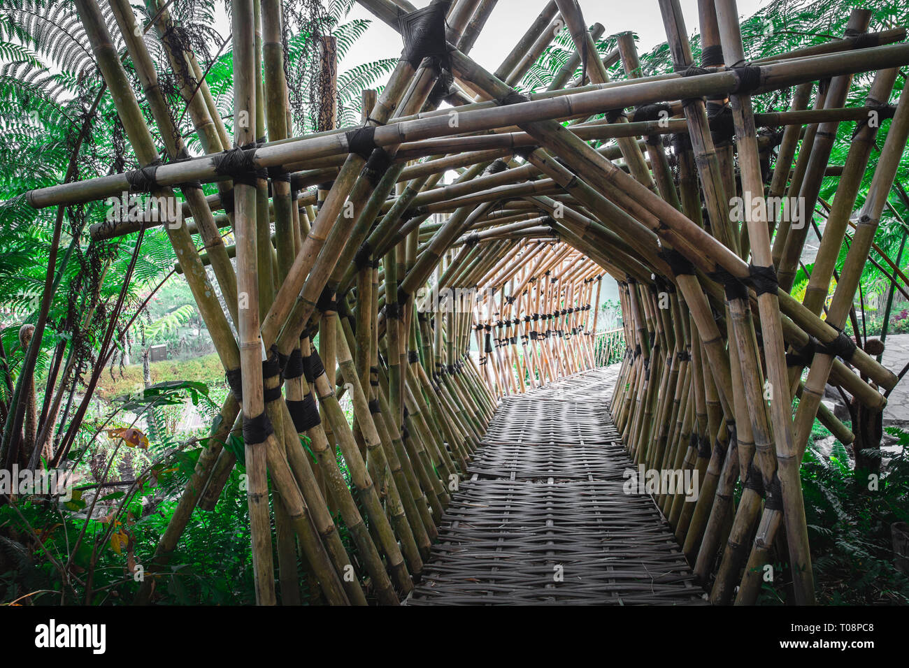 Bamboo Bridge in Lembang Indonesia Stock Photo Alamy