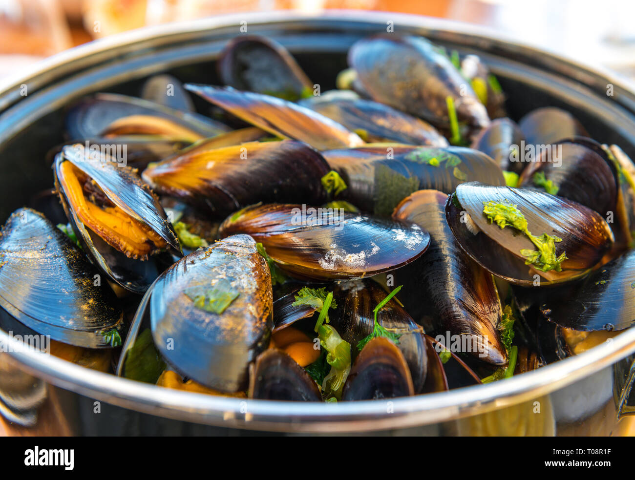 Front view of a bowl of mussels with fries. A traditional belgian summer dish. Photographed in Ostend, Belgium. Stock Photo