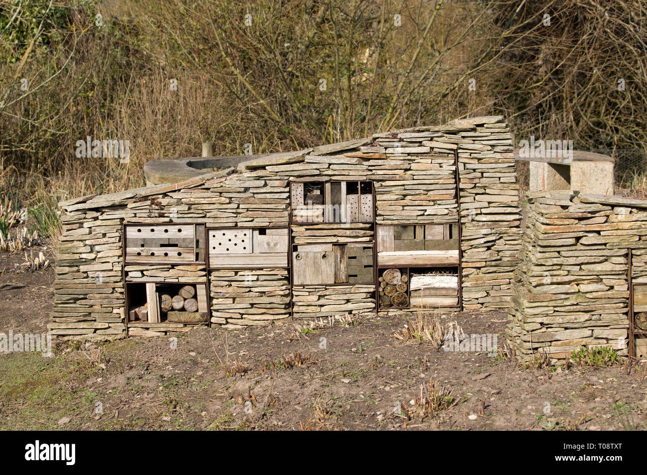 Insect or bug hotel built of dry stone walling with timber and log inserts to attract insects, especially bees, and protect pollinators at Wildfowl an Stock Photo