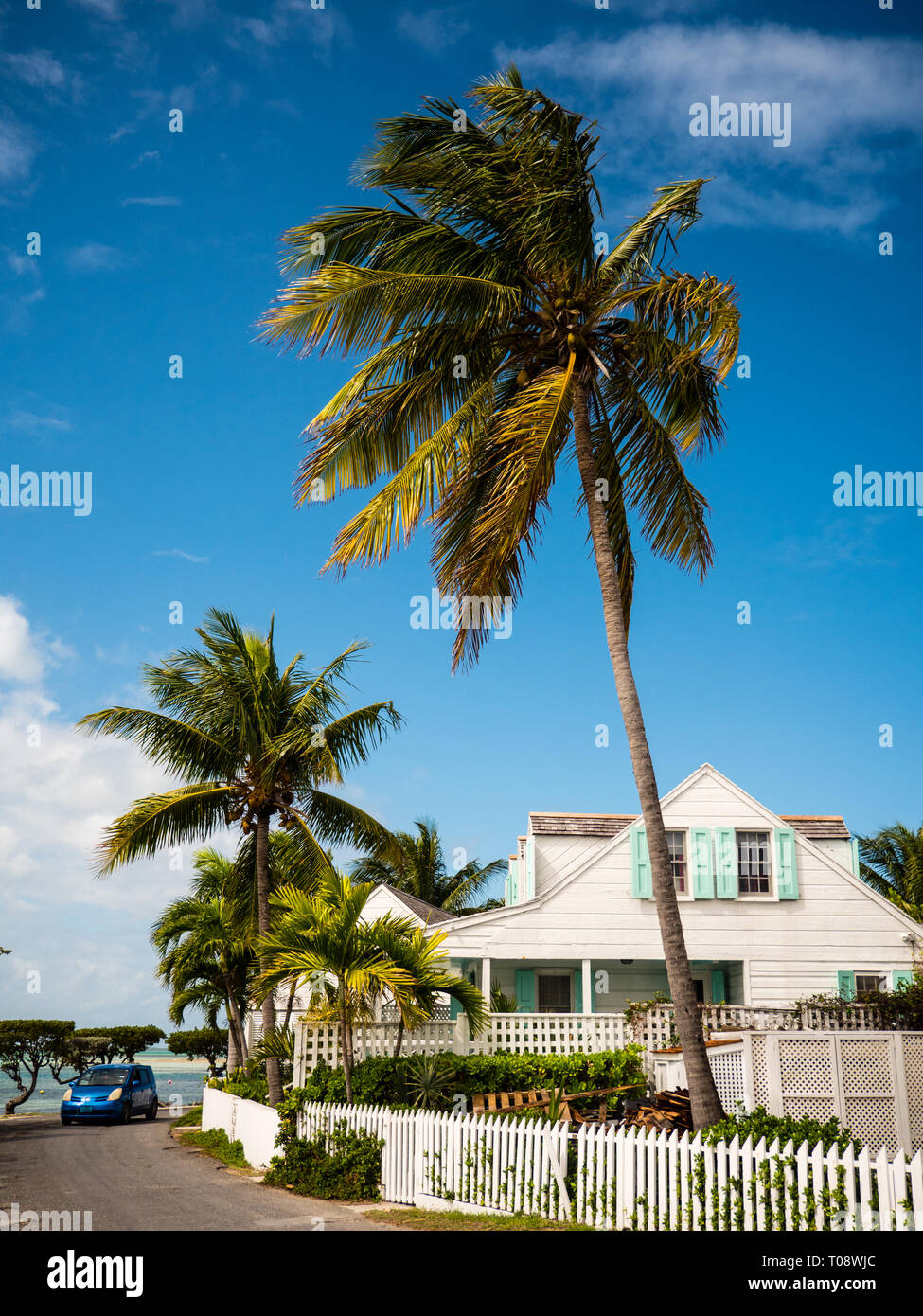 Tall Palm Tree next to Typical Bahamas House, Dunmore Town, Harbour Island, Eleuthera Island, The Bahamas, The Caribbean. Stock Photo