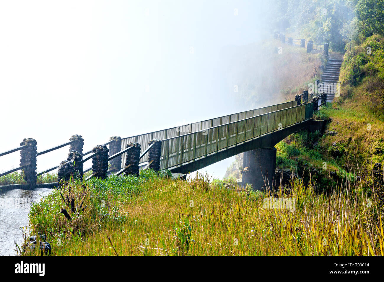Footbridge In The Mist Stock Photo