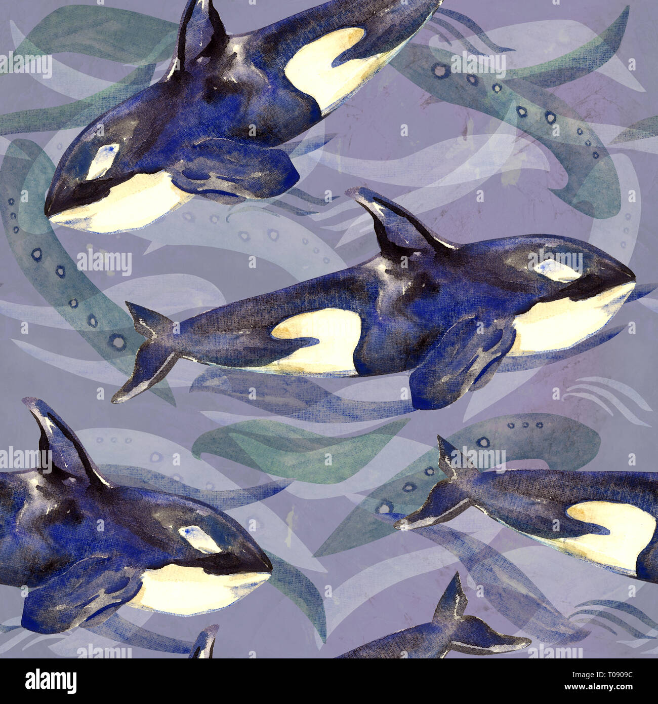 Killer whale, Orca, hand painted watercolor illustration, seamless ...