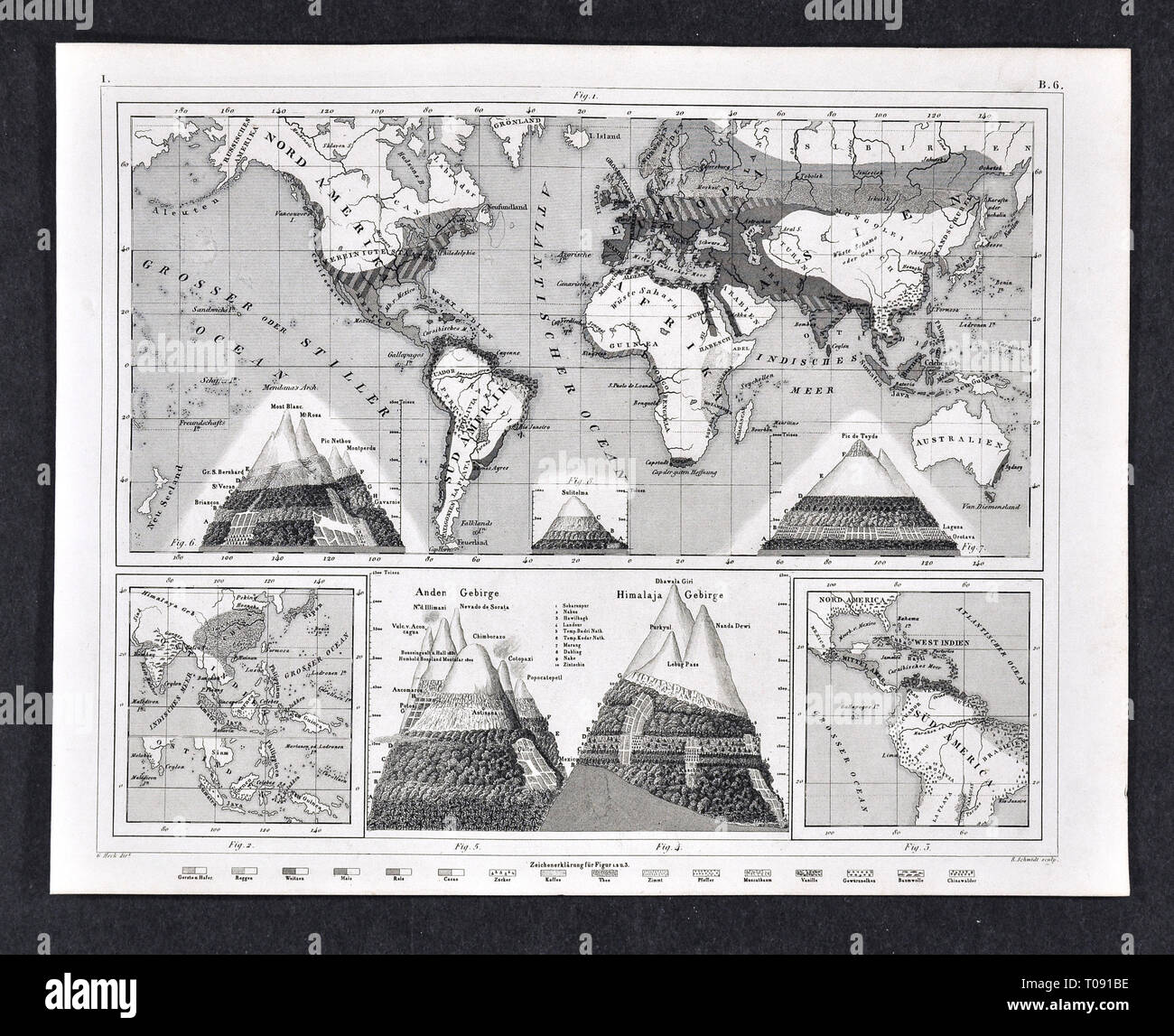 1849 Bilder World Map of Climate Zones and Biomes Stock Photo