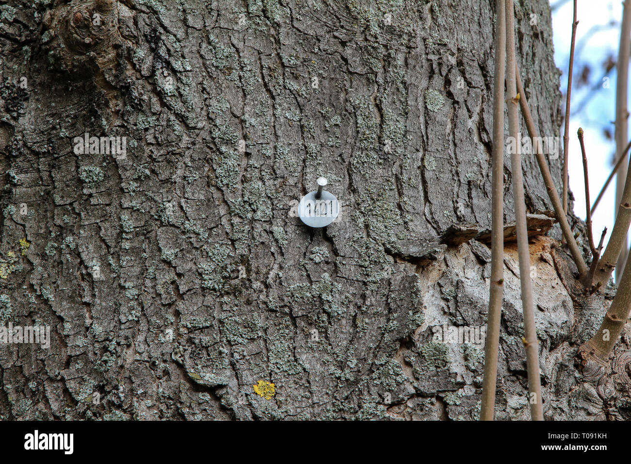 Broken sign on a tree trunk hi-res stock photography and images - Alamy