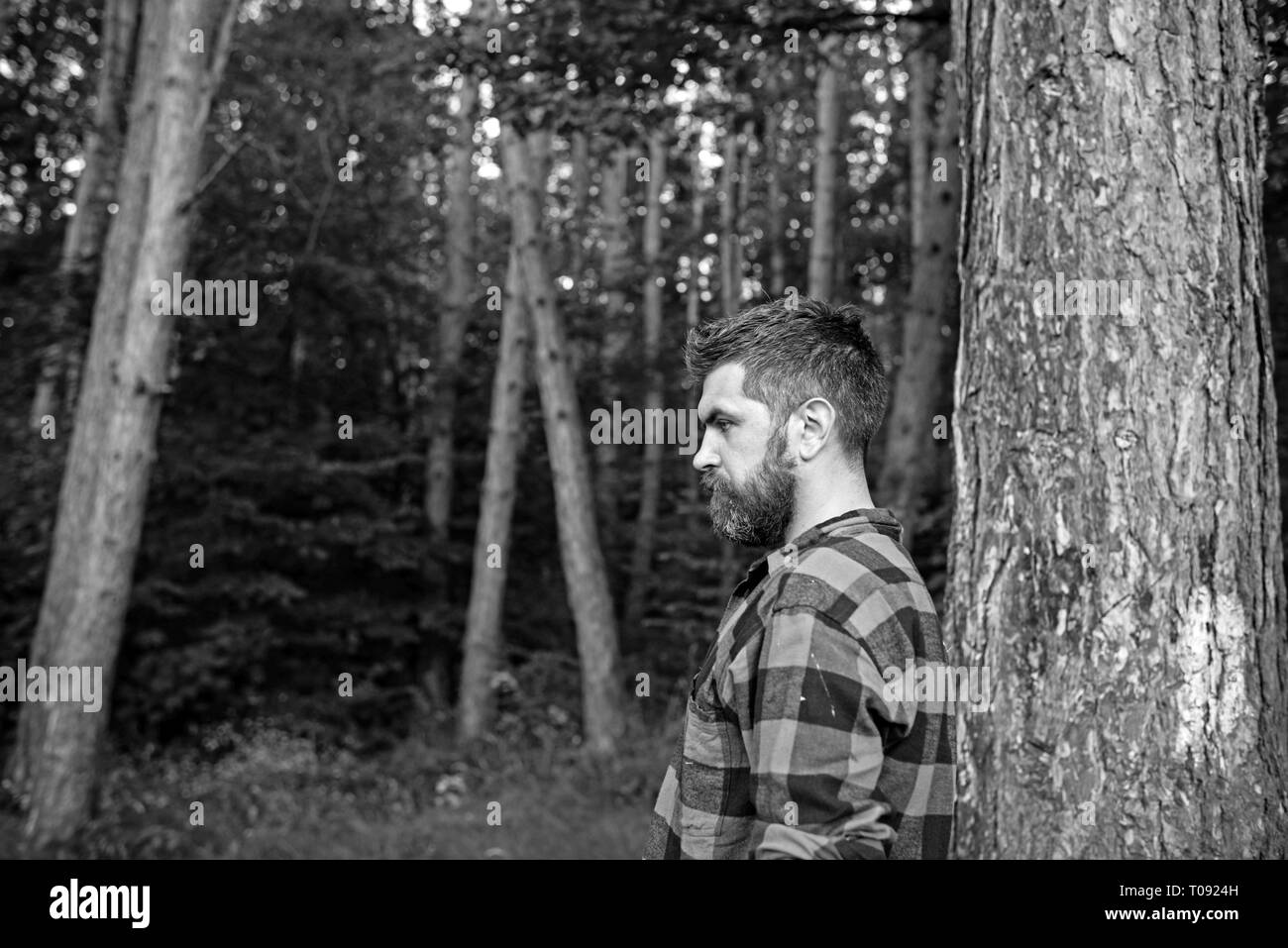 Brutal Man With Stylish Beard And Mustache Wandering In Woods Side View Lumberjack Walking Brutal Man With Stylish Beard And Mustache Wandering In Woods Side View Lumberjack Walking