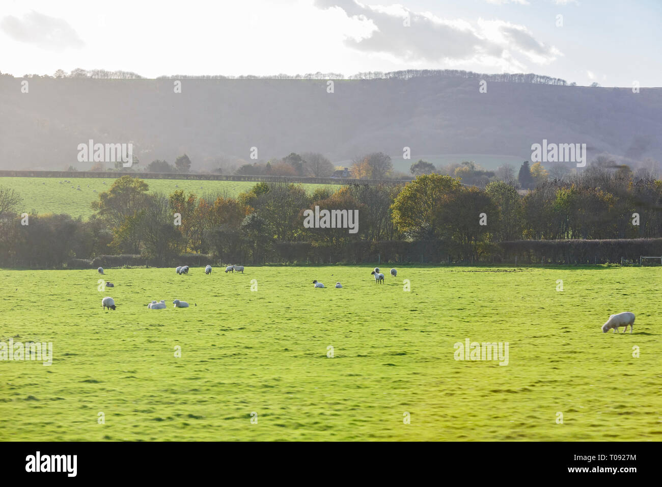 Rural nature landscape background hi-res stock photography and images ...