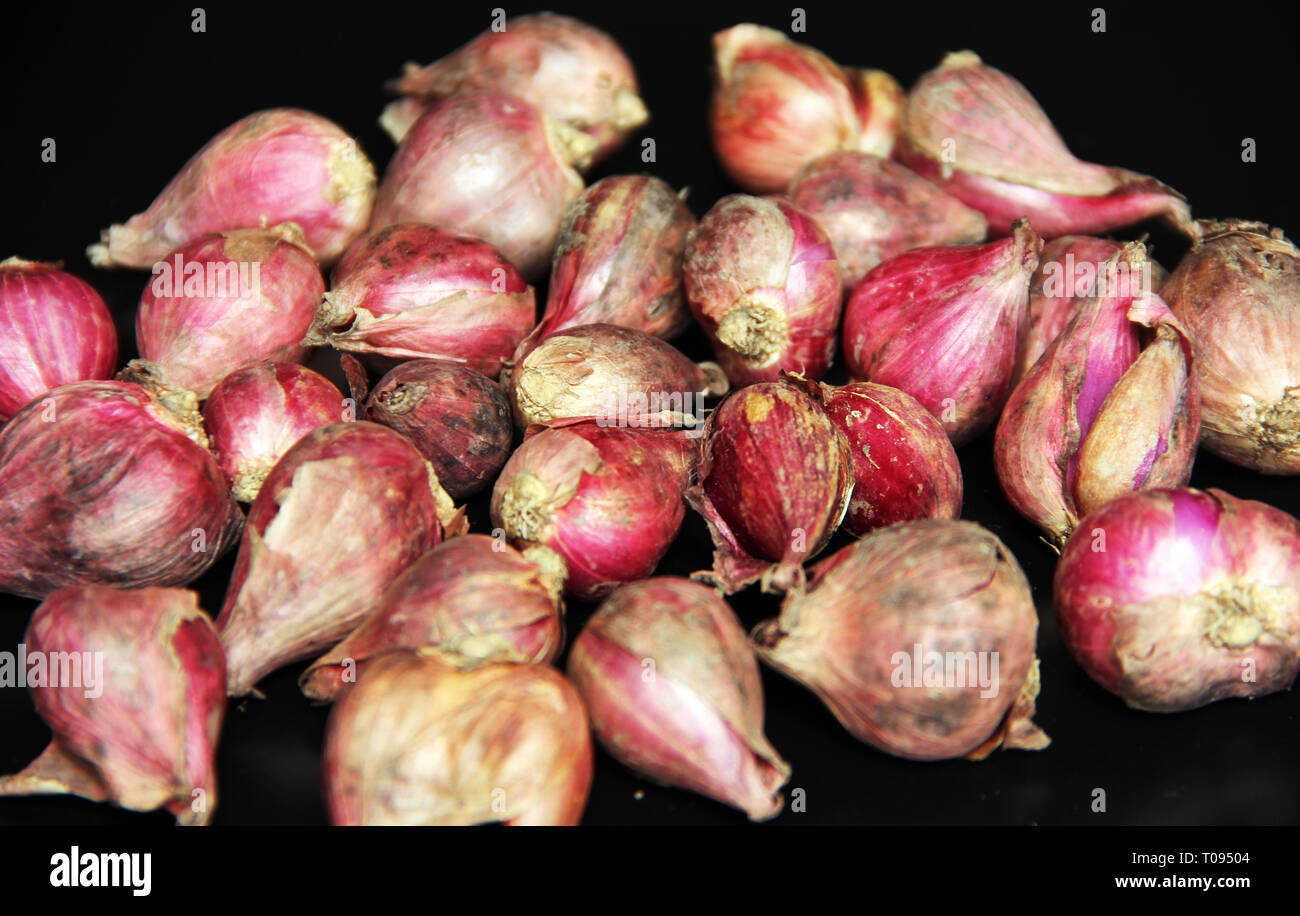 Onion extract hi-res stock photography and images - Alamy