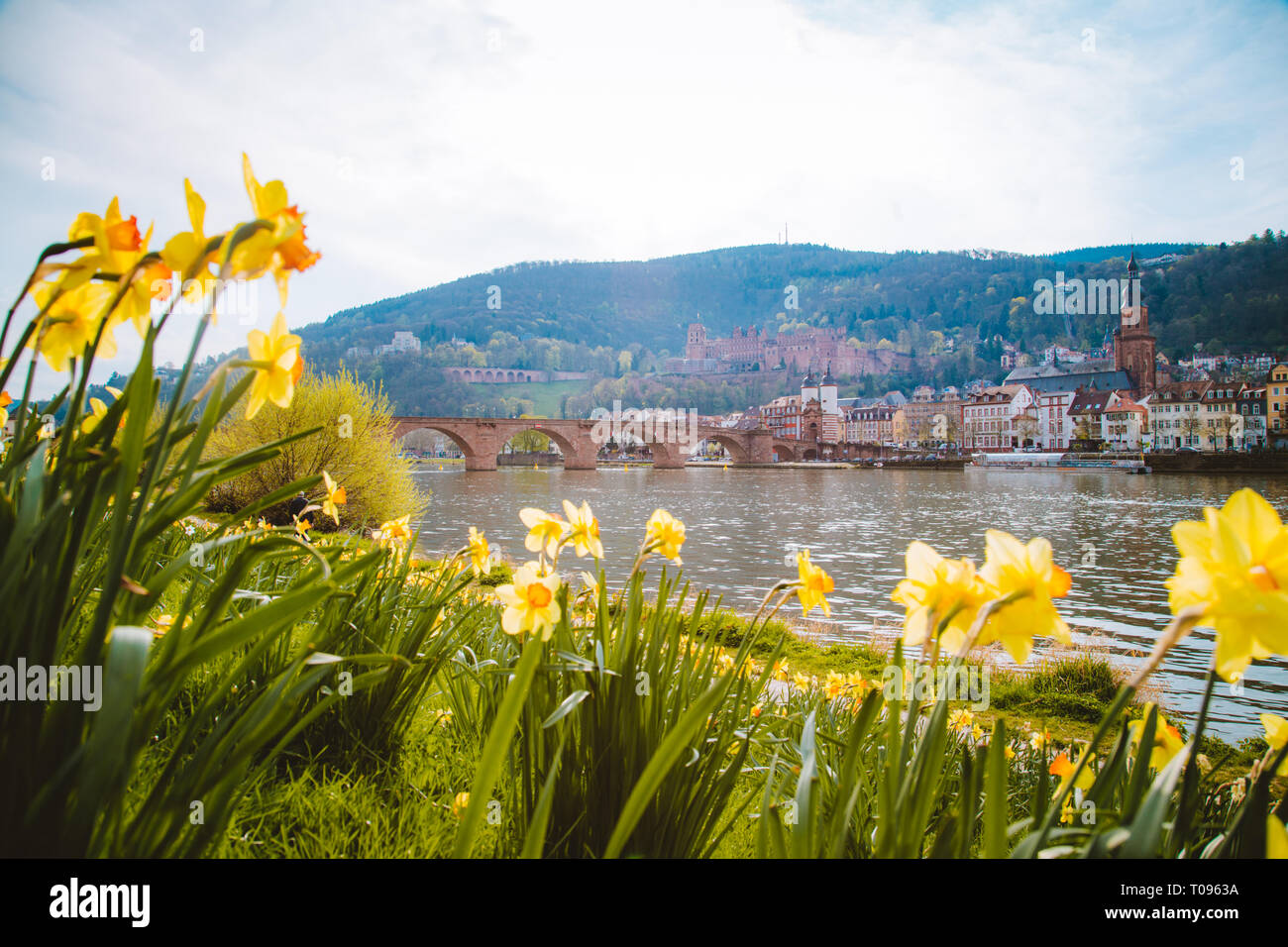 Panoramic view of the historic town of Heidelberg with blooming flowers