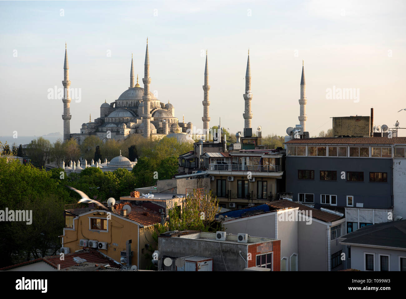 Türkei, Istanbul, Sultanahmet, Blick über Stadthäuser auf die Blaue Moschee Stock Photo
