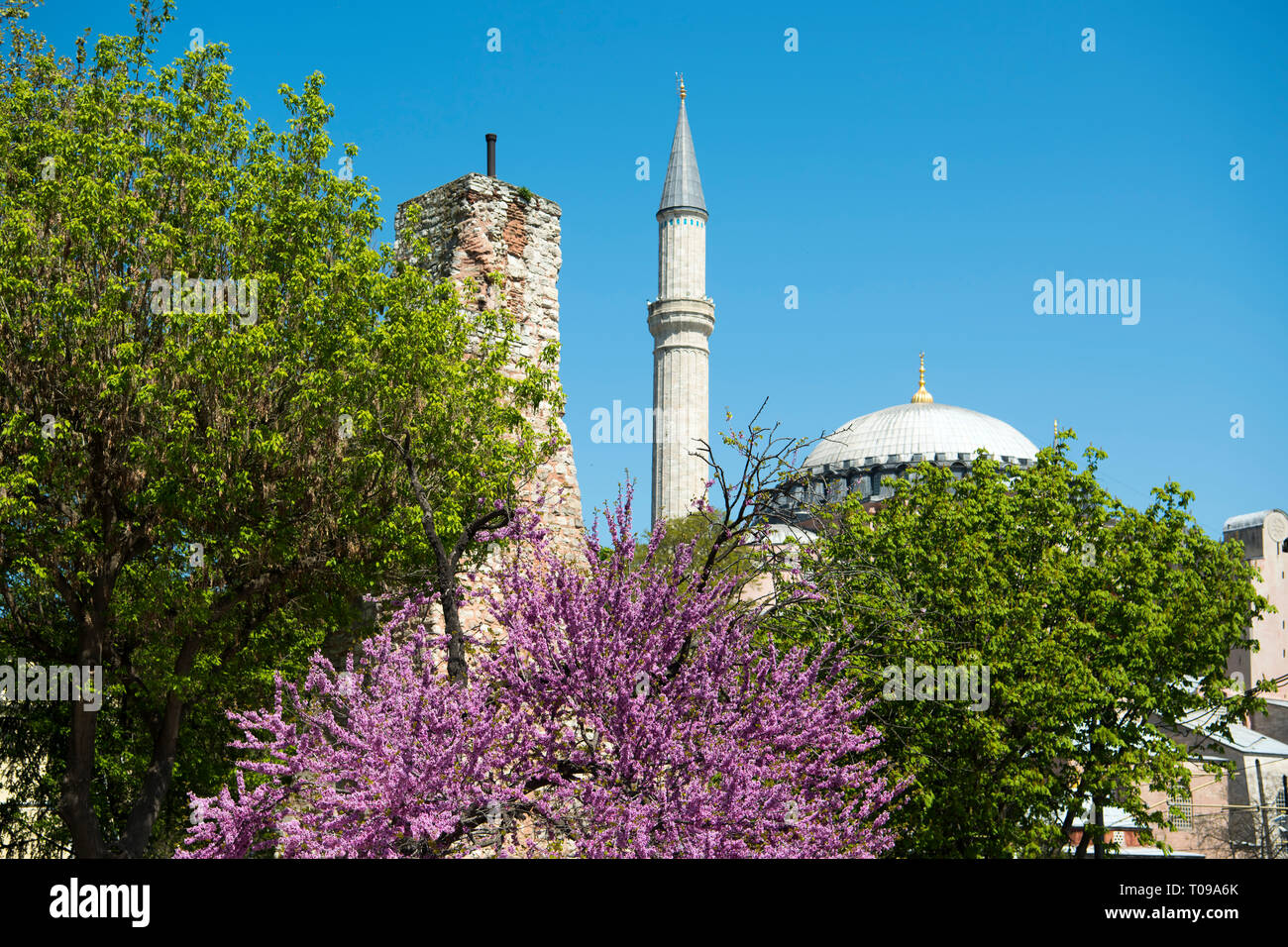 Türkei, Istanbul, Sultanahmet, Park über der Yerebatan-Zisterne am Anfang der Divan Yolu, Wasserturm über der Zisterne und Minarett der Hagia Sophia Stock Photo