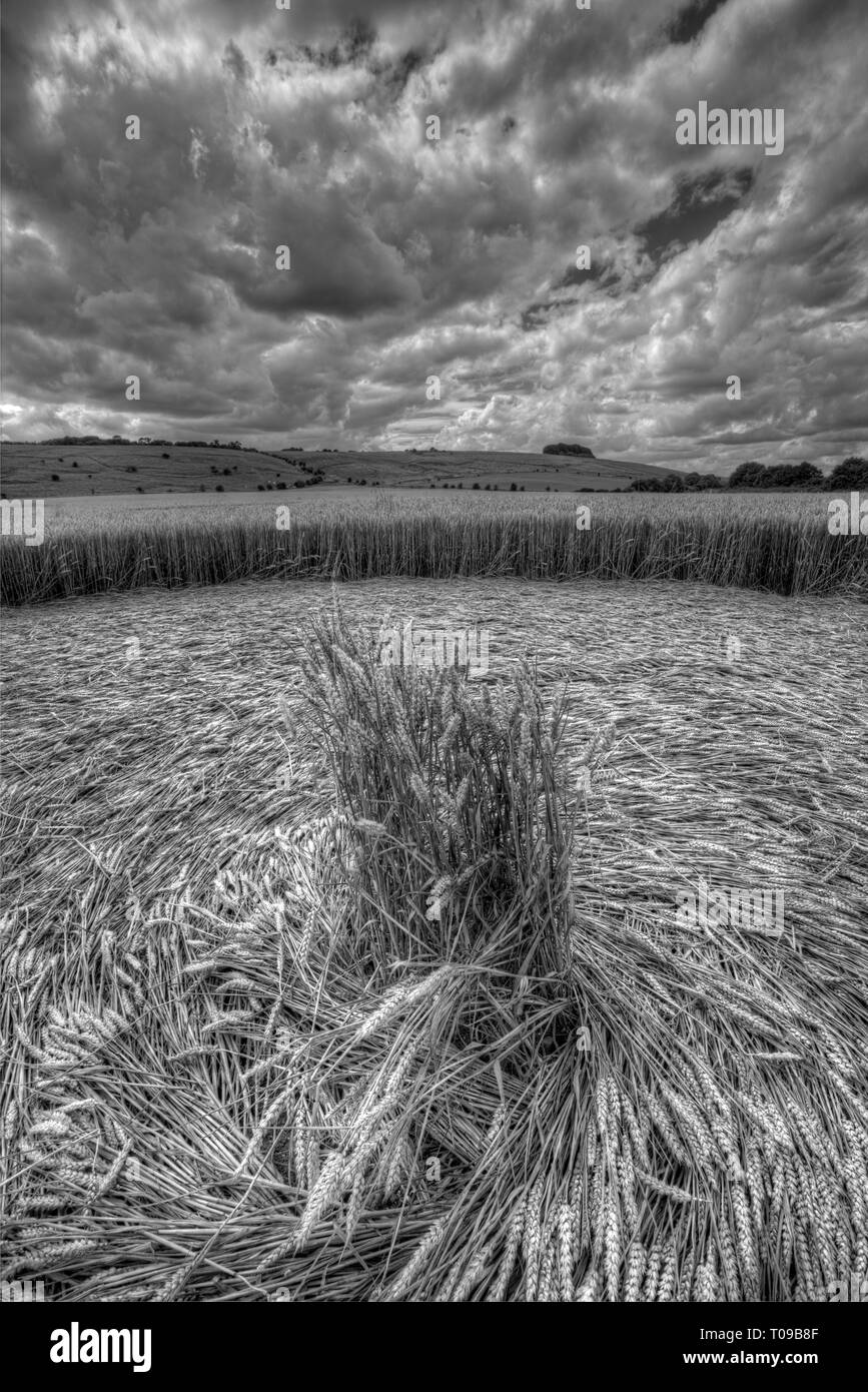 Europe, UK, England, Wiltshire. Crop circle in a field of wheat with prehistoric Barbury Castle in the background. Stock Photo