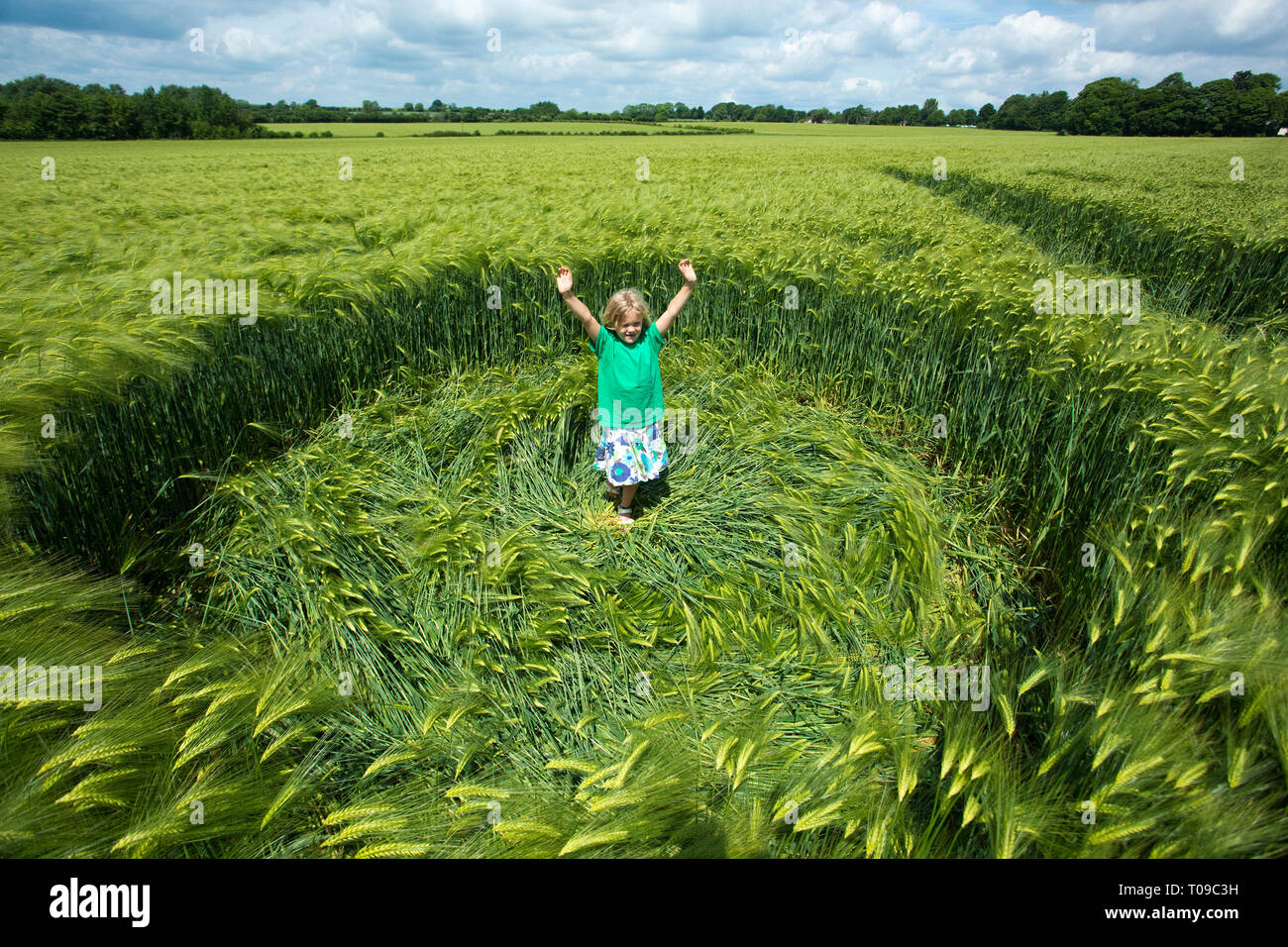 Great Britain, England, Wiltshire, Broad Hinton.  A child enjoying a small barley crop circle created in 2017. Stock Photo