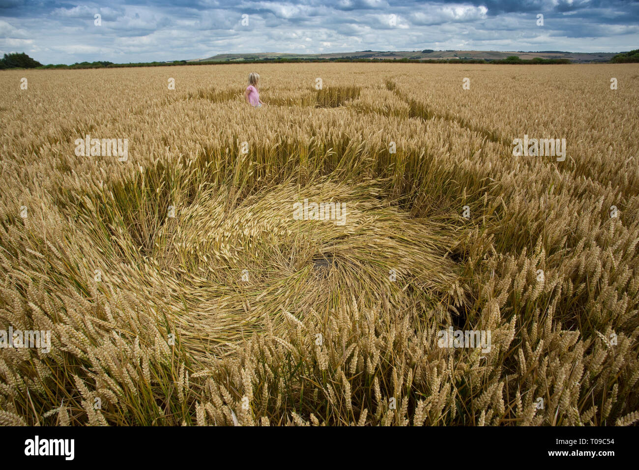 Great Britain, England, Wiltshire.  A young girl exploring a huge 2016 crop circle in wheat. Stock Photo