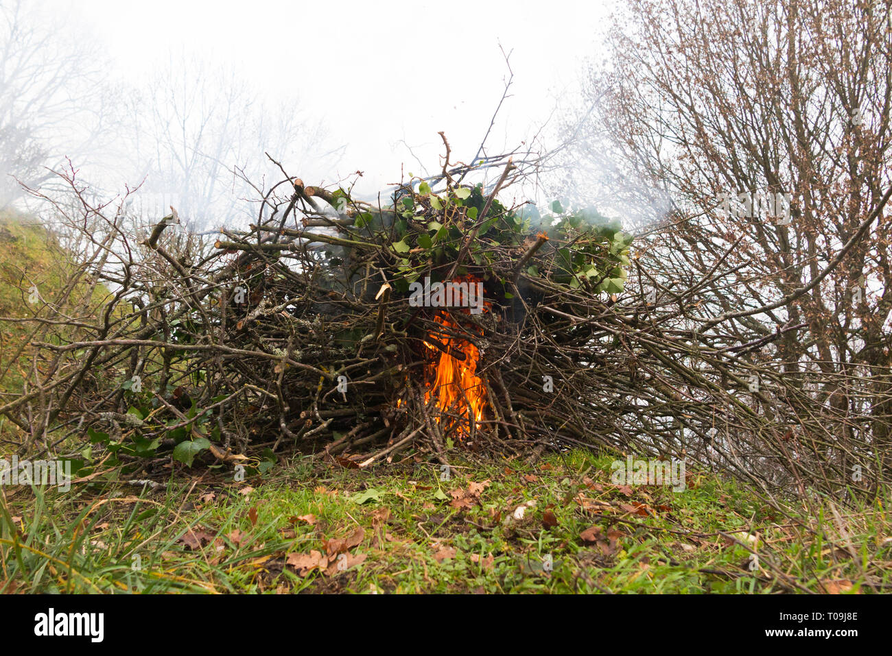 Garden fire flames with smoke fumes / fume coming from / rising from a