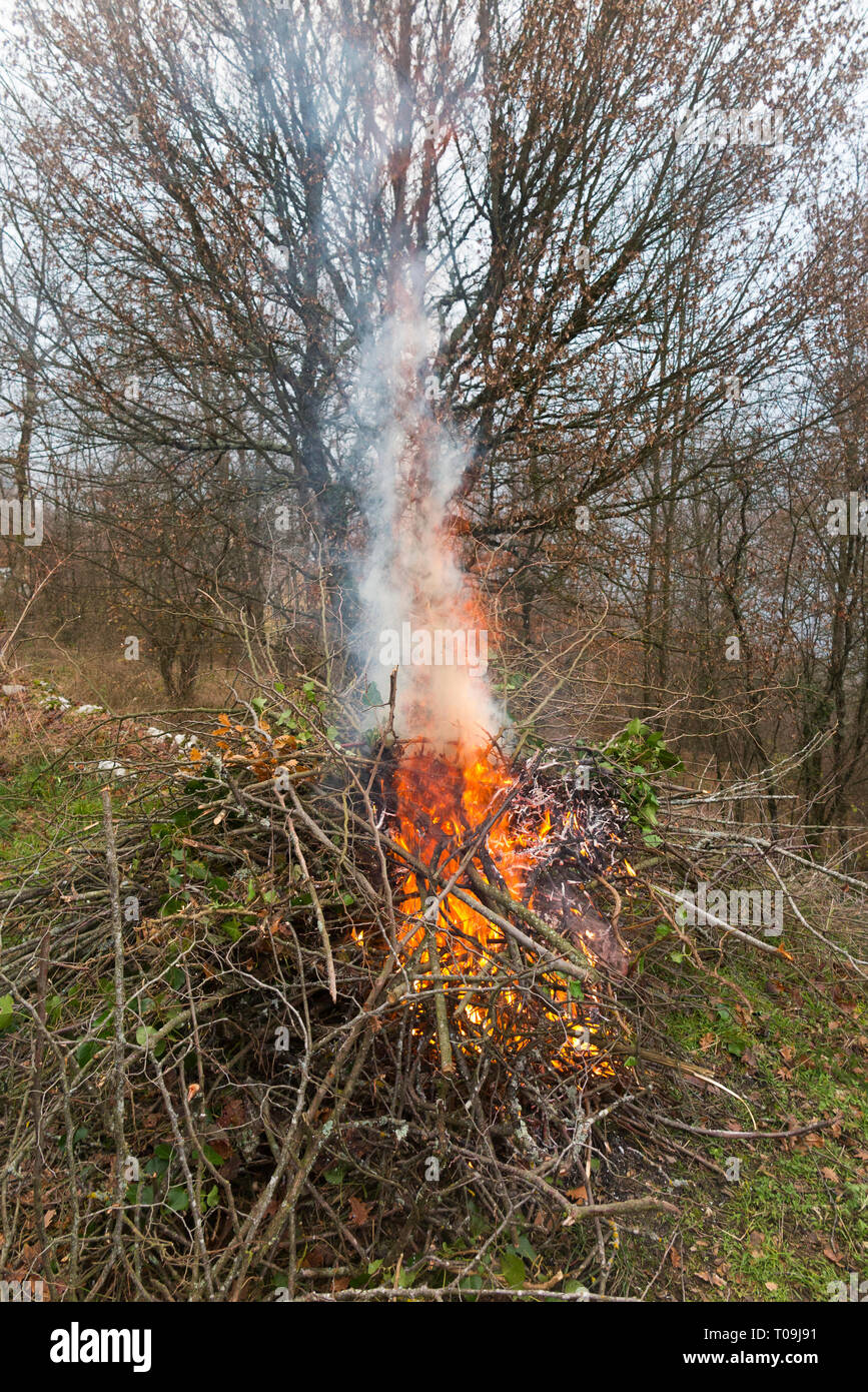 Garden fire with fierce flames with smoke fumes rising from a bonfire