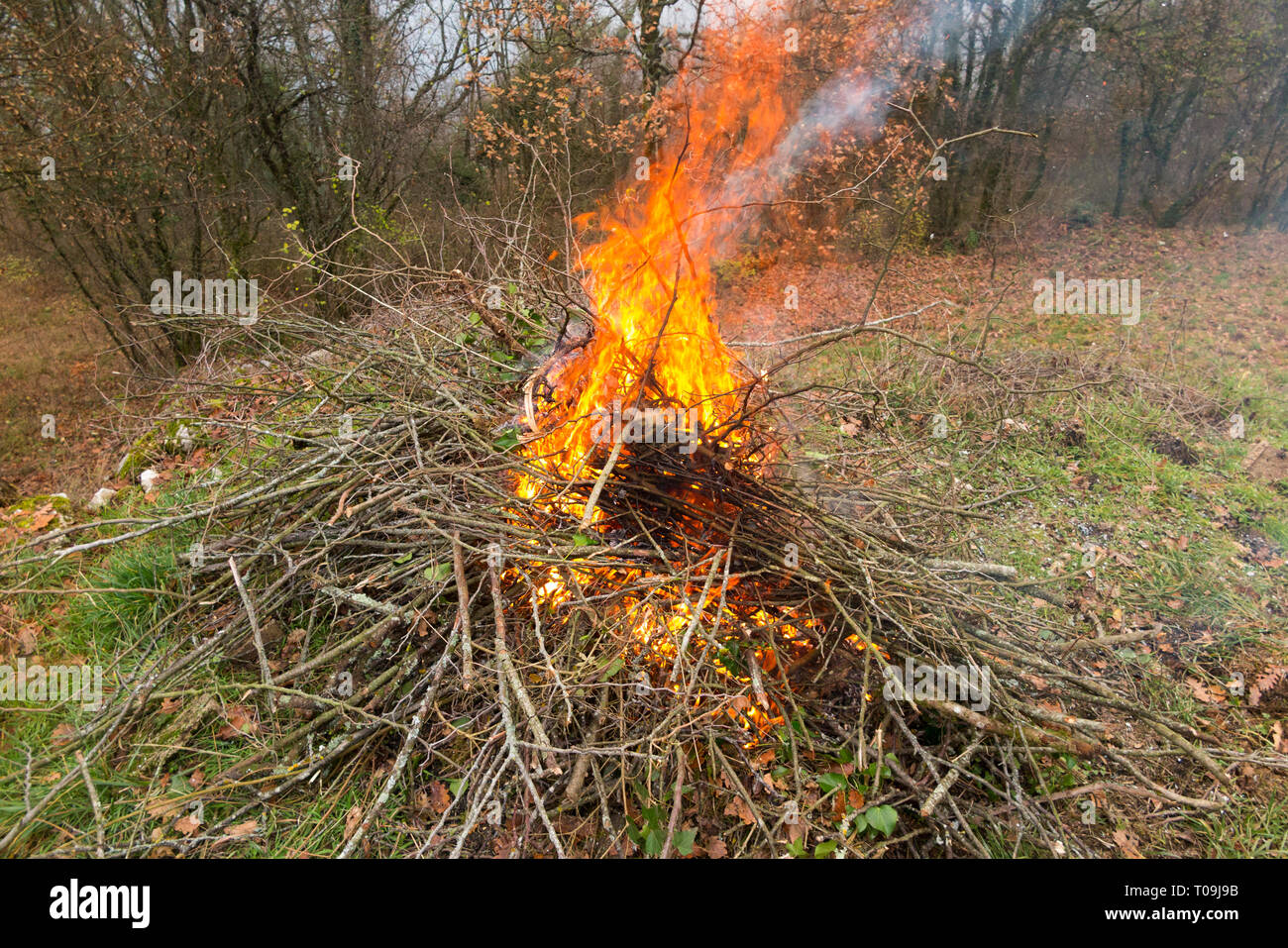 Garden fire with fierce flames with smoke fumes rising from a bonfire