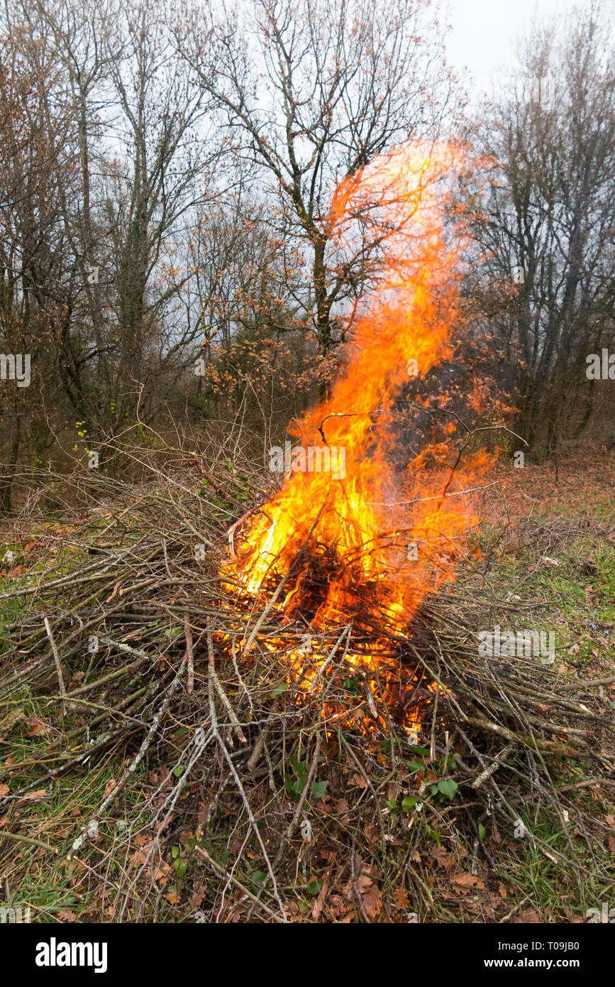 Garden fire with fierce flames with smoke fumes rising from a bonfire
