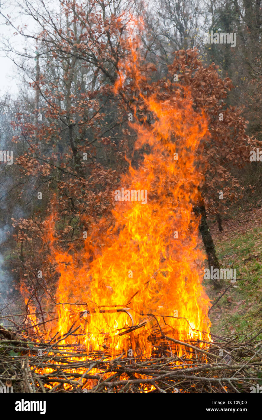 Garden fire with fierce flames with smoke fumes rising from a bonfire